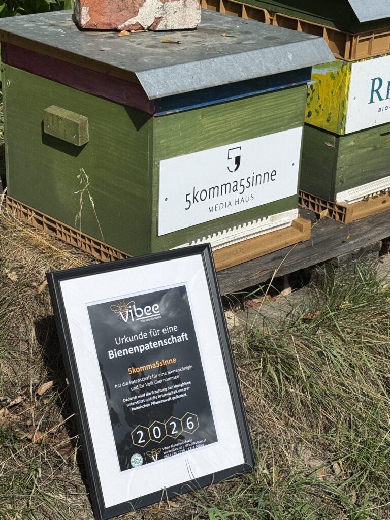 Bienenstock von 5komma5sinne mit der Vibee Urkunde zur Bienenpatenschaft 2026.